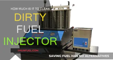 Cleaning Dirty Fuel Injectors: What's the Cost?