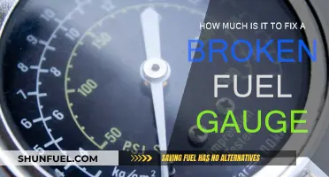 Fuel Gauge Repair Costs: How Much?