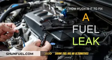 Repairing a Fuel Leak: Cost and Maintenance
