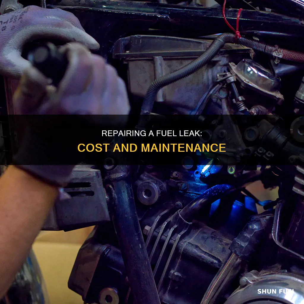 how much is it to fix a fuel leak