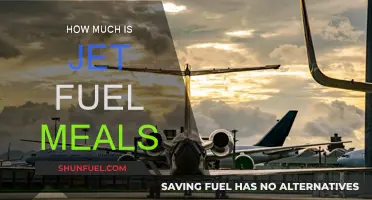 Jet Fuel Meals: Affordable Nutrition for Athletes