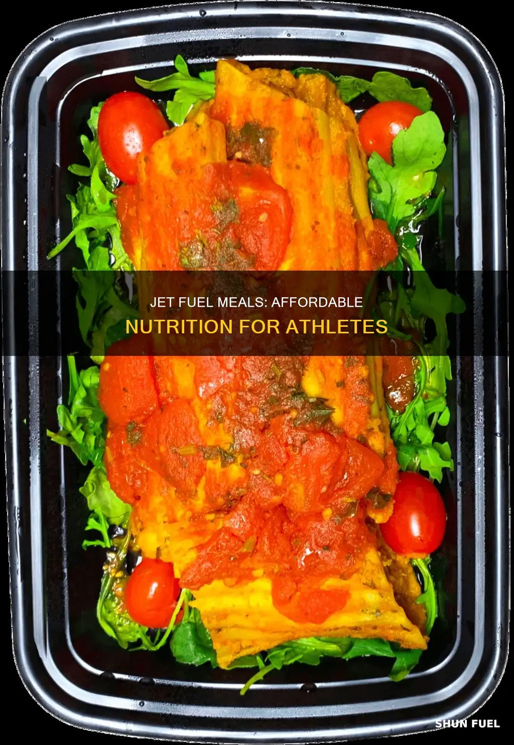 how much is jet fuel meals