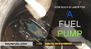 Fuel Pump Labor Costs: How Much Does It Take?