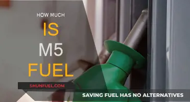 The Rising Cost of M5 Fuel