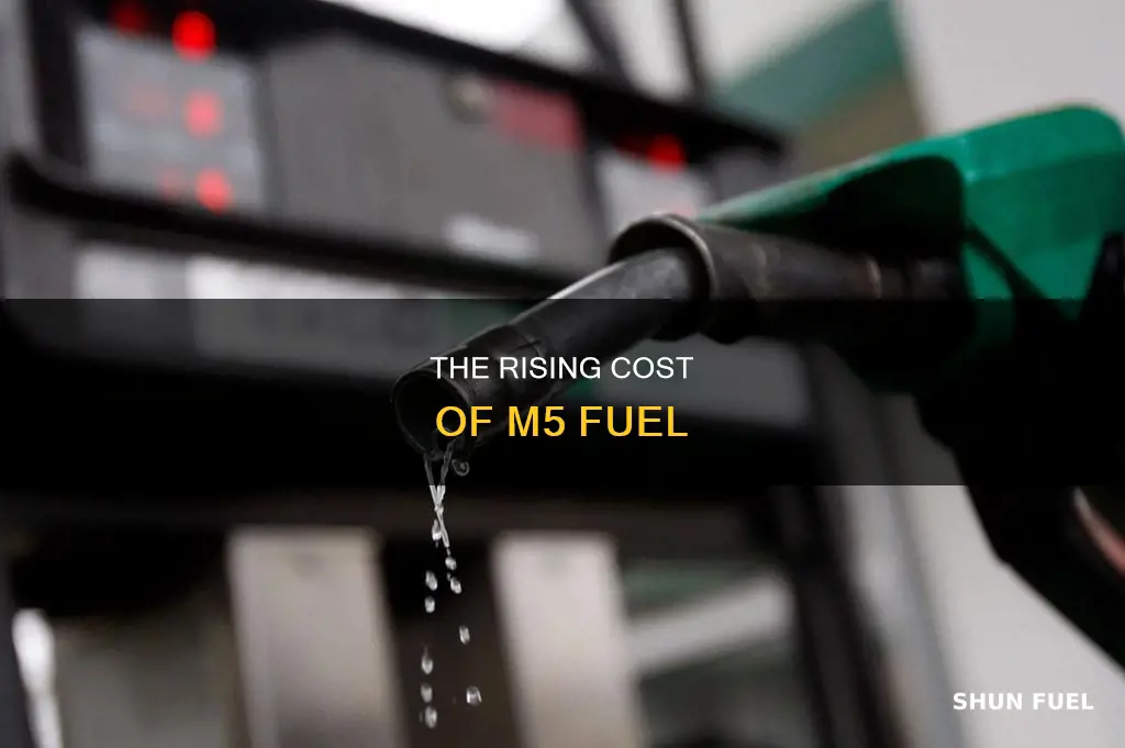 how much is m5 fuel