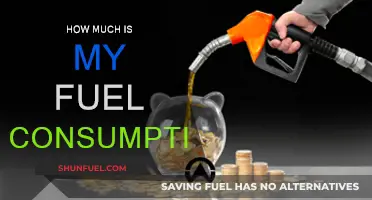 Fuel Consumption: How Much Does Your Car Guzzle?