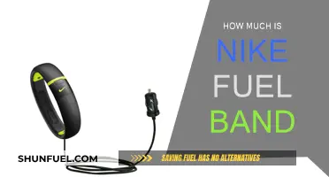 Nike Fuel Band: What's the Cost?