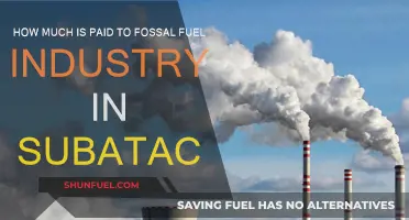Fossil Fuel Industry: Who Gets Paid and How Much?