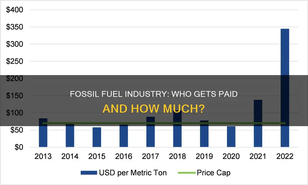how much is paid to fossal fuel industry in subataces