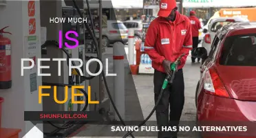 The Cost of Petrol: A Global Perspective