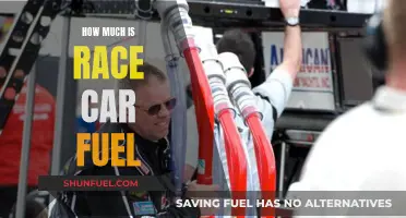 The Cost of Speed: How Much Fuel Do Race Cars Need?