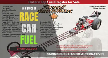 The Cost of Racing: Fuel Expenses Explored