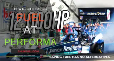 Racing Fuel Costs: Performance Impact and Budgeting