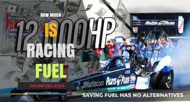 Racing Fuel Costs: How Expensive Is It Really?