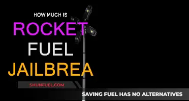 Rocket Fuel Jailbreak: The Costly Business of Space Travel