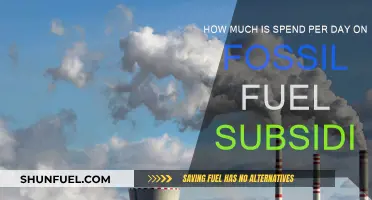 The True Cost of Fossil Fuel Subsidies