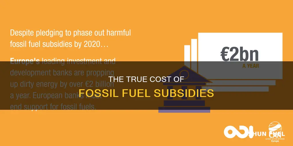 how much is spend per day on fossil fuel subsidies