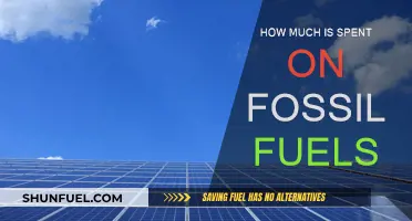 The Cost of Fossil Fuels: Billions Spent
