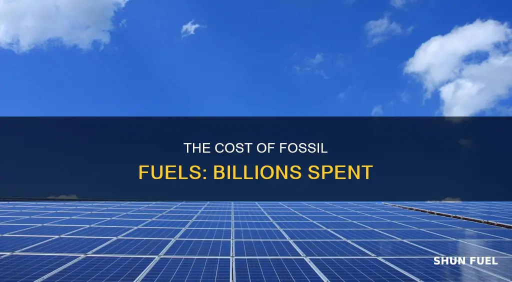how much is spent on fossil fuels