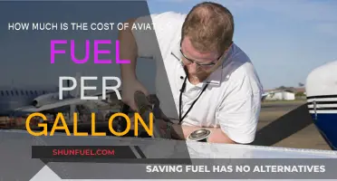 Aviation Fuel Costs: Expensive Gallons