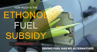 The Ethanol Fuel Subsidy: How Much Does it Cost?