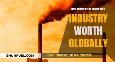 Global Fossil Fuel Industry's Astonishing Net Worth Revealed