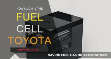 Toyota's Fuel Cell Future: Cost and Prospects