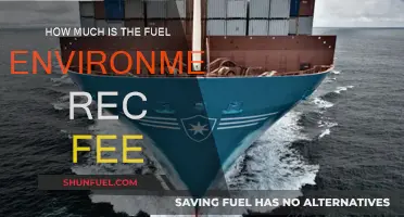 Environmental Fees: Understanding the True Cost of Fuel