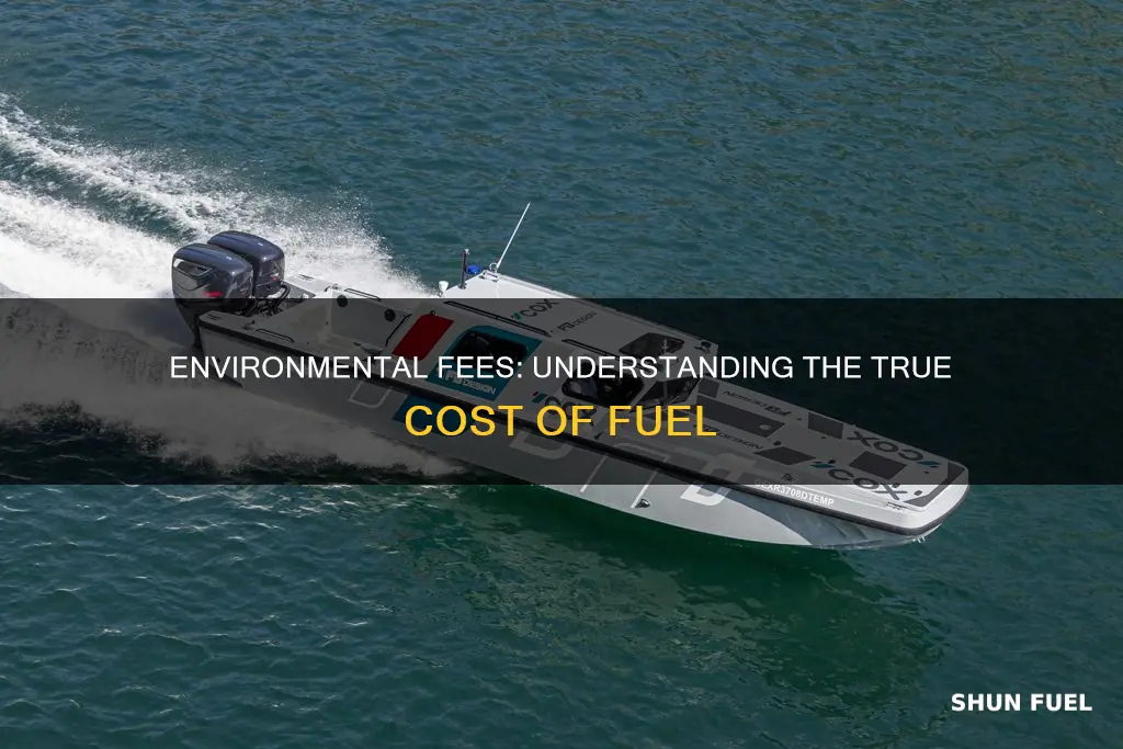 how much is the fuel environmental rec fee