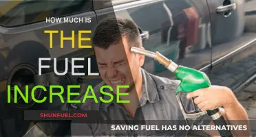 Fuel Prices Soar: How Much More Will We Pay?