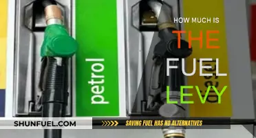 Fuel Levy: What's the Cost?