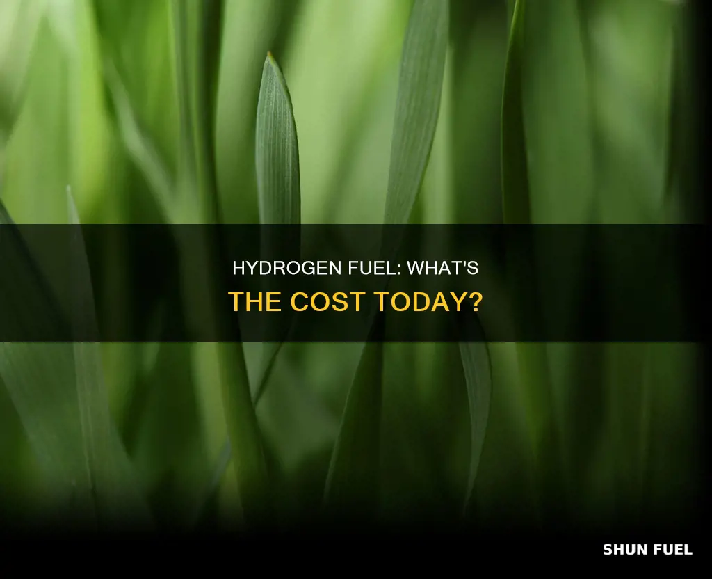 how much is the hydrogen fuel codt