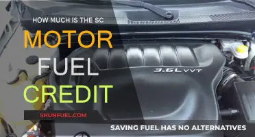 SC Motor Fuel Credit: How Much Can You Claim?
