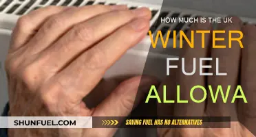 Winter Fuel Allowance: What's the UK's Deal?