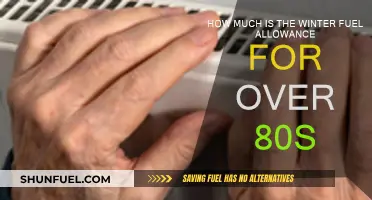 Winter Fuel Allowance: Support for the Elderly Over 80s