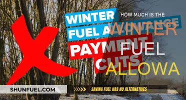 Winter Fuel Allowance: What's the Cost?