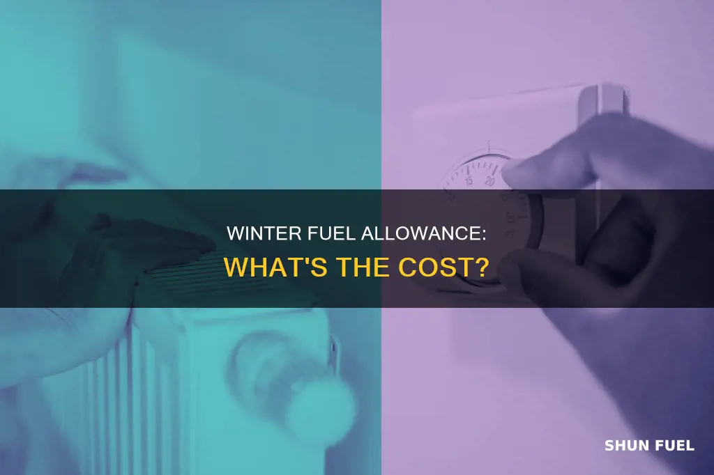 how much is the winter fuel allowance