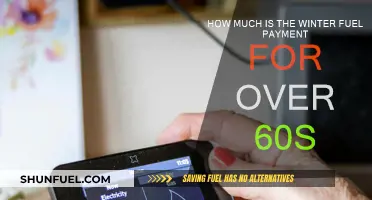 Winter Fuel Payments: What's the Deal for Over-60s?
