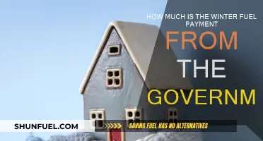 Winter Fuel Payment: How Much Can You Expect?
