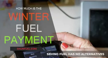 Winter Fuel Payment: How Much Can You Get?