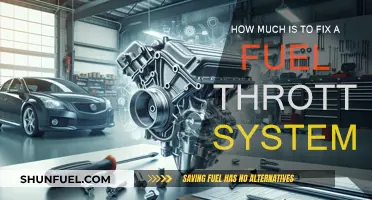 Cost of Repairing Your Fuel Throttle System