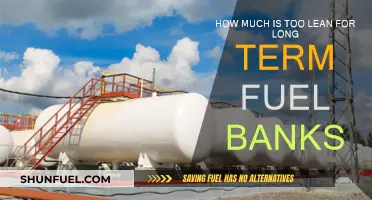 Lean Fuel Banks: How Much is Too Much?