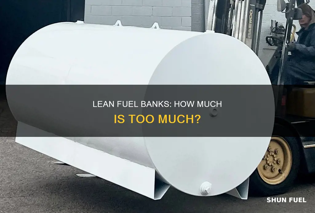how much is too lean for long term fuel banks