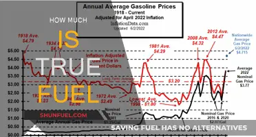 True Fuel Costs: The Real Price of Filling Up