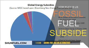 The US Fossil Fuel Subsidy: A Costly Affair