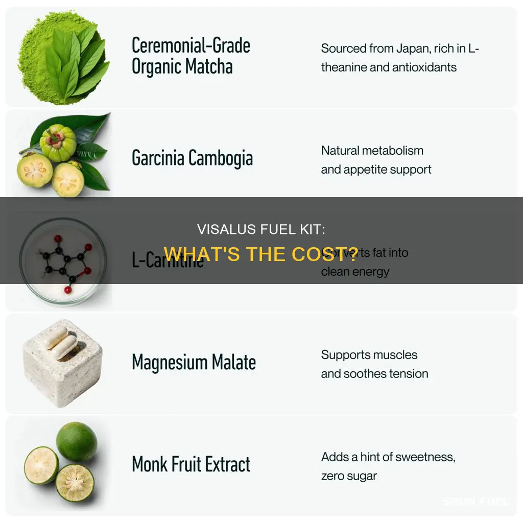 how much is visalus fuel kit