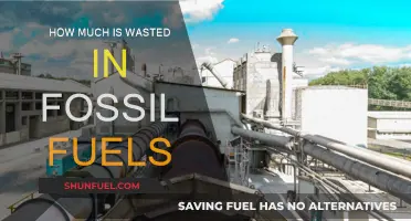 The High Cost of Wasted Fossil Fuels