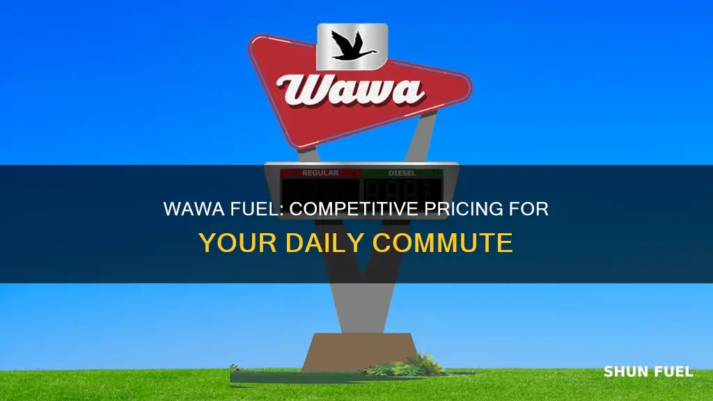 how much is wawa fuel