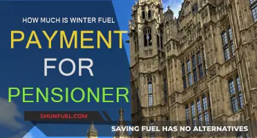 Winter Fuel Payment: Pensioner Support and Amounts
