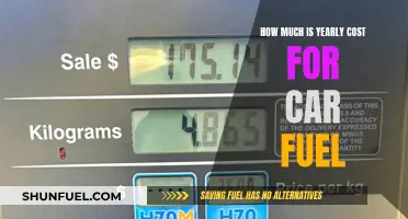 The Cost of Fueling Your Car: Annual Expense Analysis